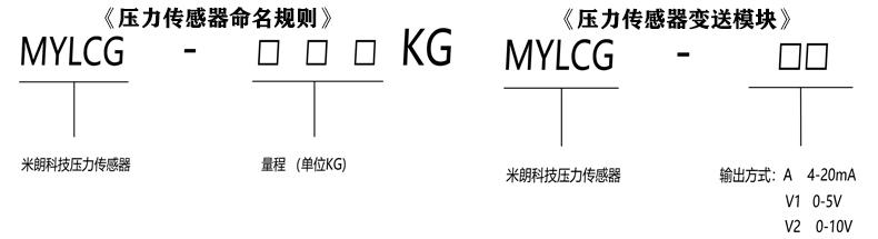 輪輻式拉壓力傳感器選型指引